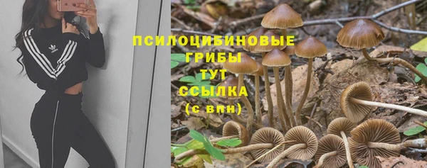 2c-b Зерноград