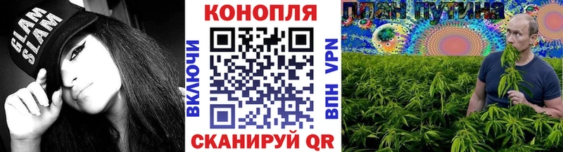Канабис тримм  Купить где  Сосновка 